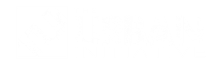 The Urban Initiative